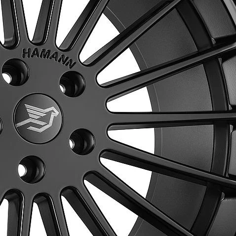 Hamann Anniversary EVO for BMW X6 F16 - Image 3
