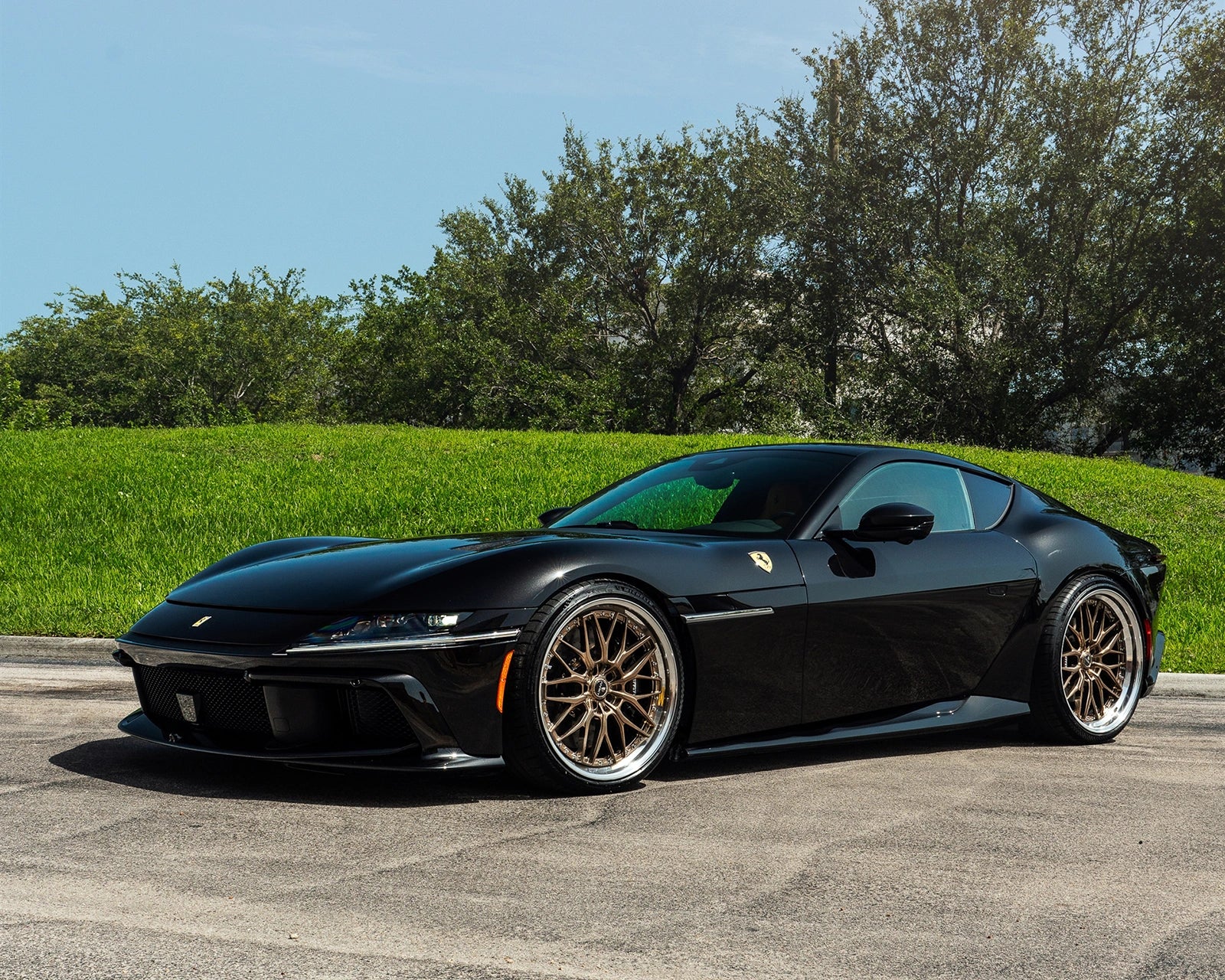 Novitec Ferrari 12Cilindri - lowering spring set - Image 3