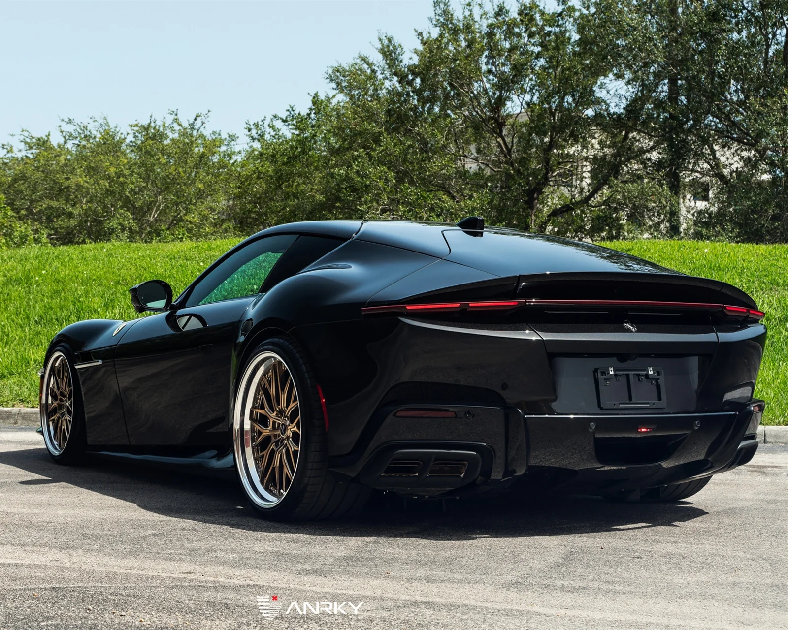 Novitec Ferrari 12Cilindri - lowering spring set - Image 4